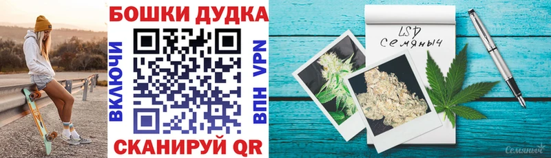 Каннабис планчик Карасук